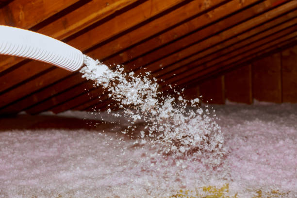 Best Cellulose Insulation in Youngsville, NC