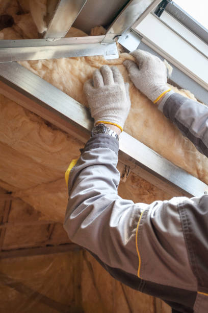 Best Eco-Friendly Insulation in Youngsville, NC