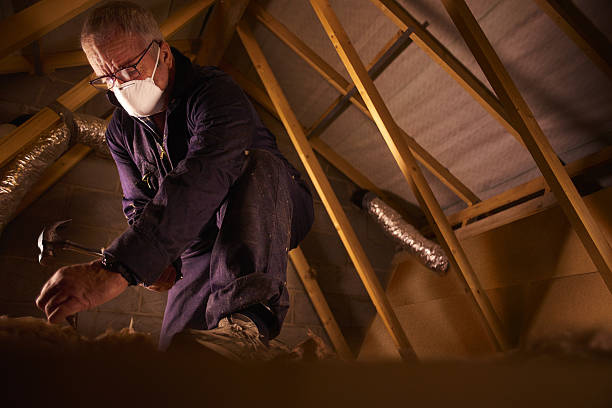 Best Spray Foam Insulation in Youngsville, NC