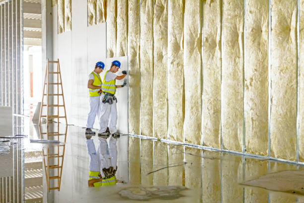 Types of Insulation We Offer in Youngsville, NC